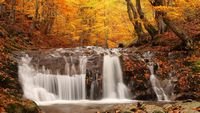 pic for Autumn Waterfall 